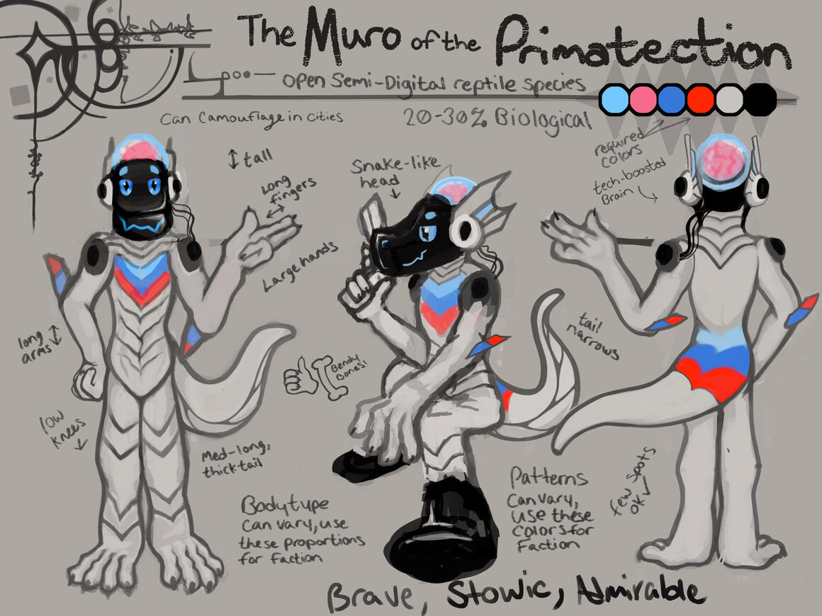 The Muro The Muro