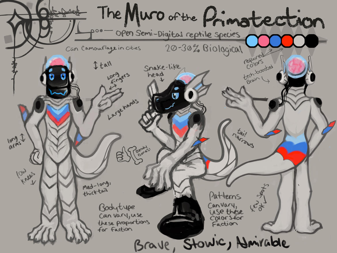 The Muro The Muro